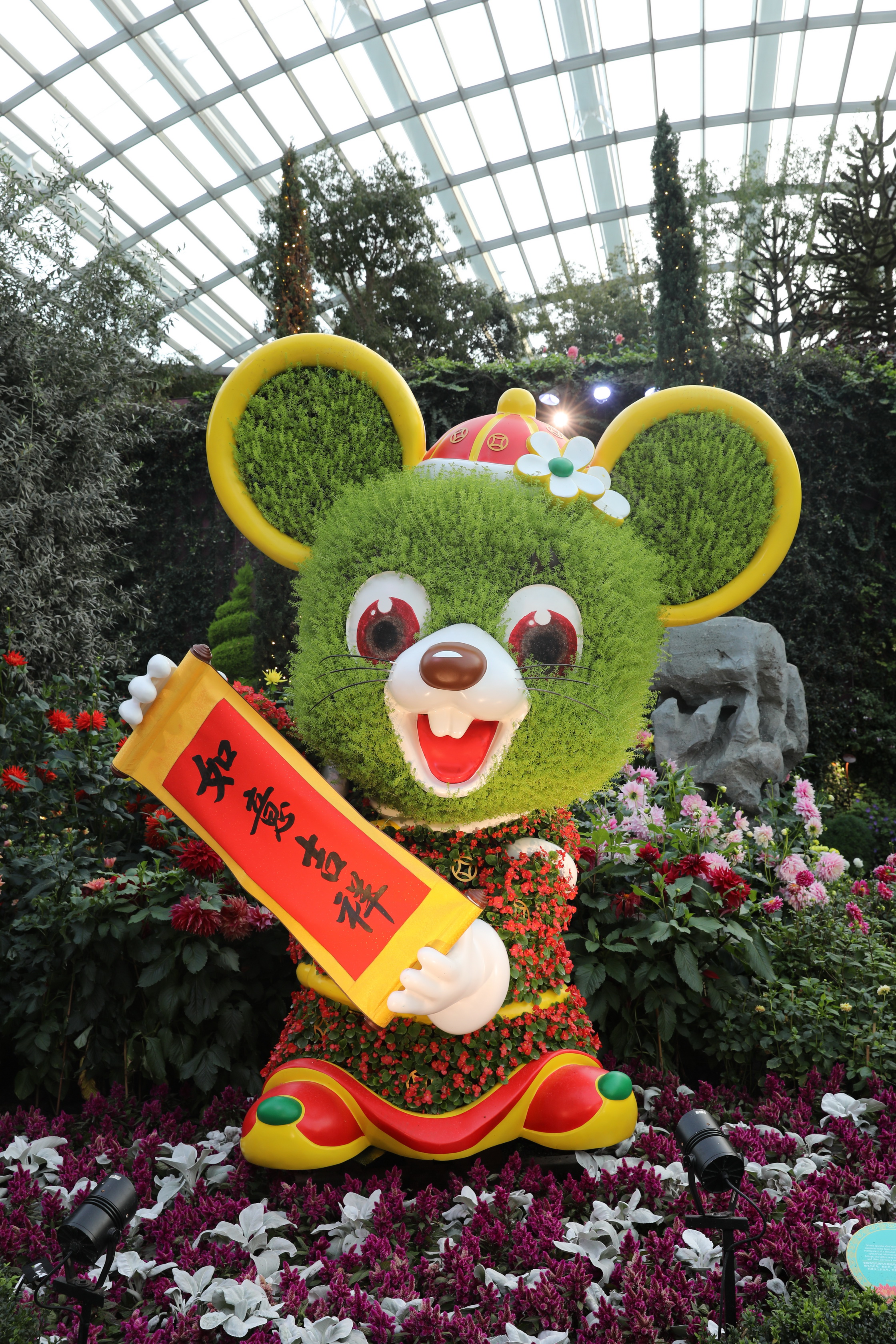 2020 02 03 18 48 43 Canon EOS 5D Mark IV 0070